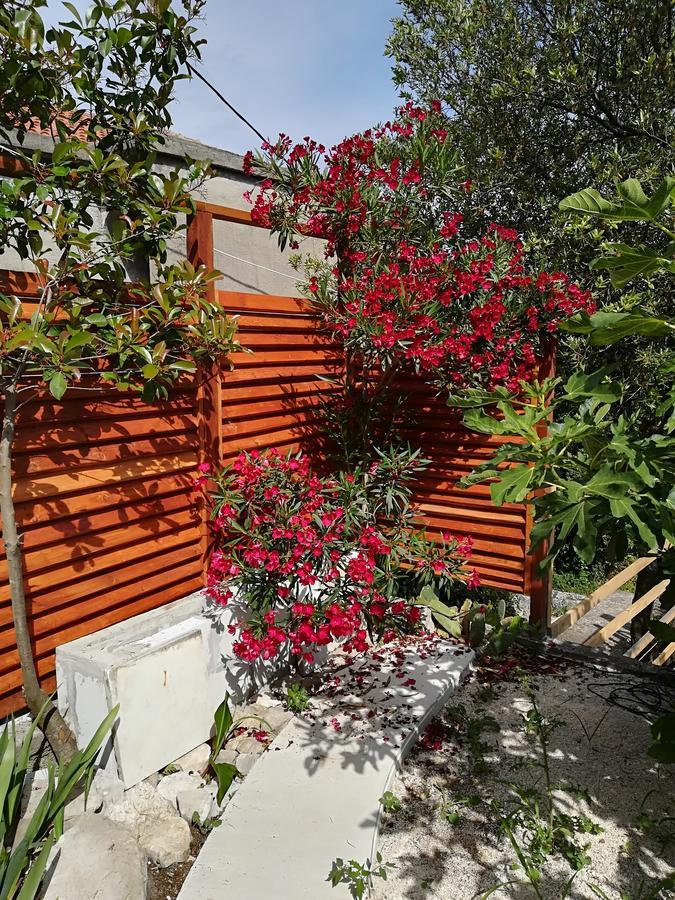 Casa De Laza Apartments Herceg Novi Eksteriør bilde